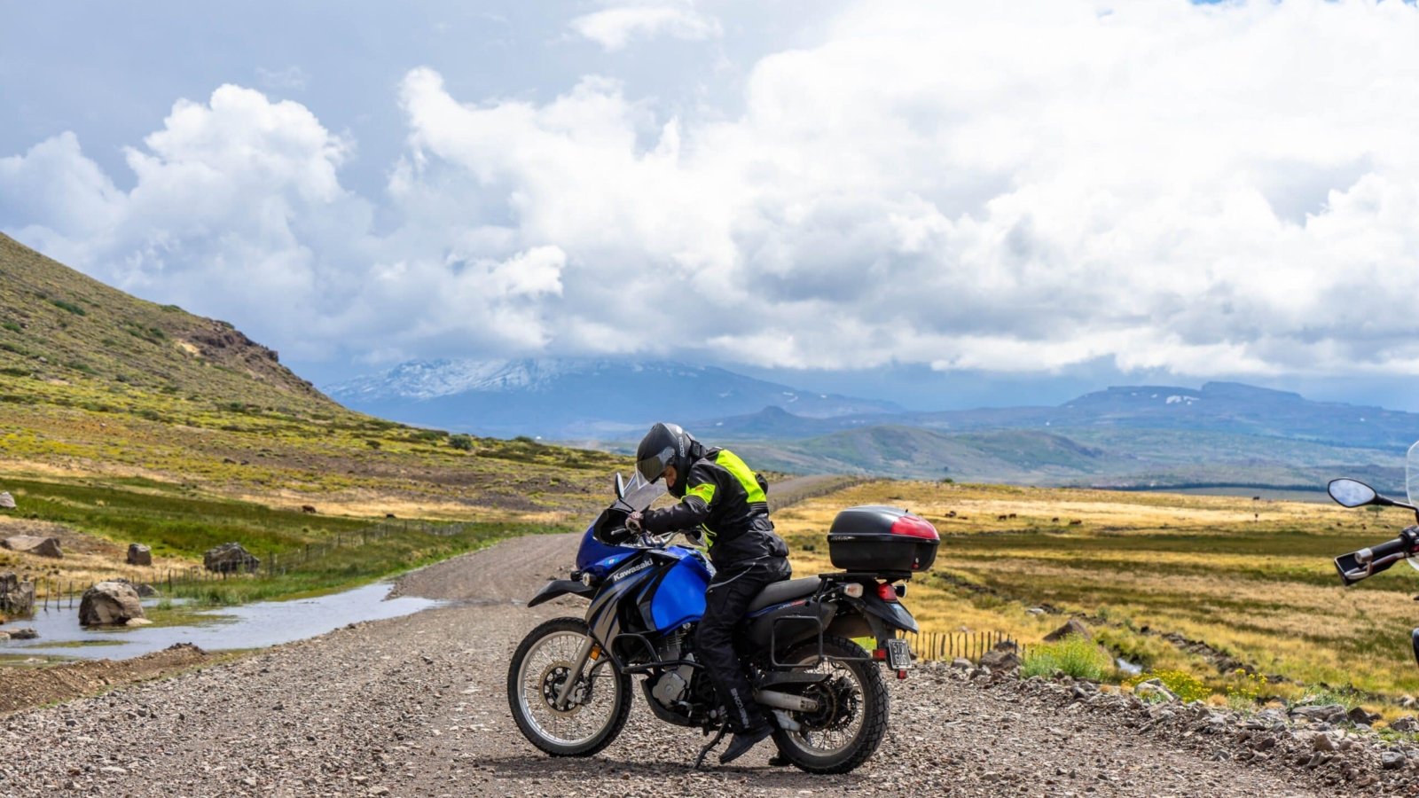 pexels-alejandro-terranova-14494617